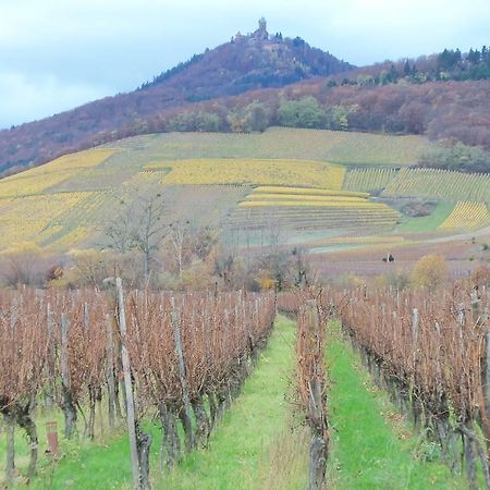 Apartment Route Du Vin Centre Alsace Orschwiller Cameră foto