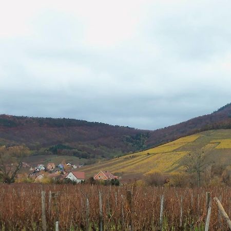 Apartment Route Du Vin Centre Alsace Orschwiller Cameră foto